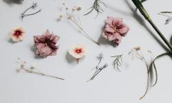 Featured image of post Hugo+Stack 博客修改记录